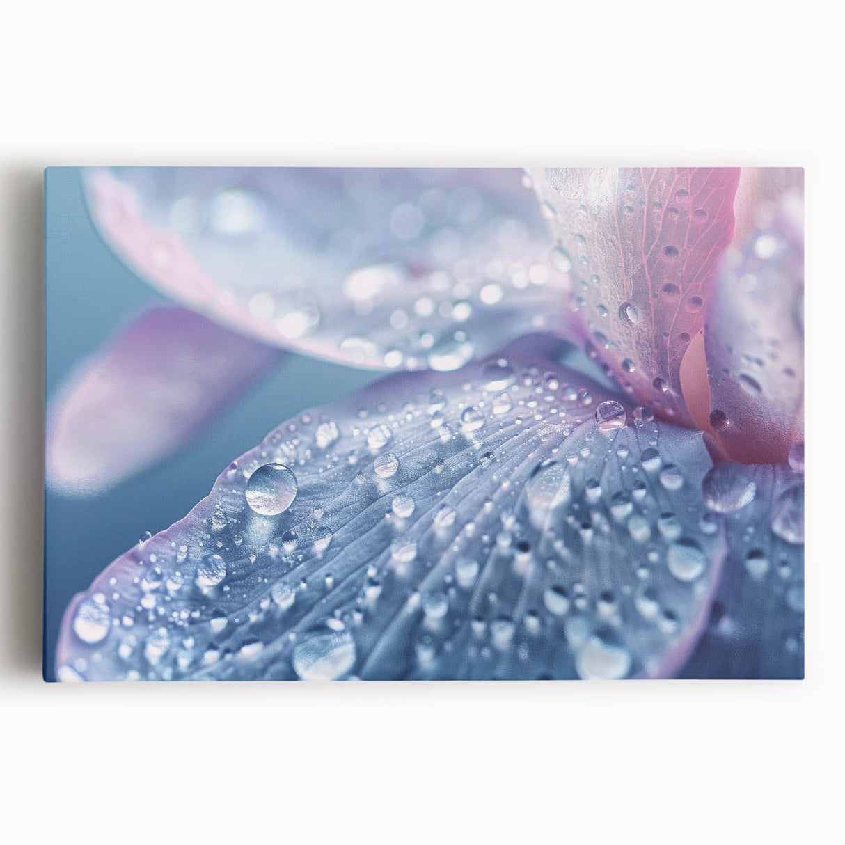 Black and white close-up of water droplets on a plant, printed on a large stretched canvas, suitable for kitchen art.