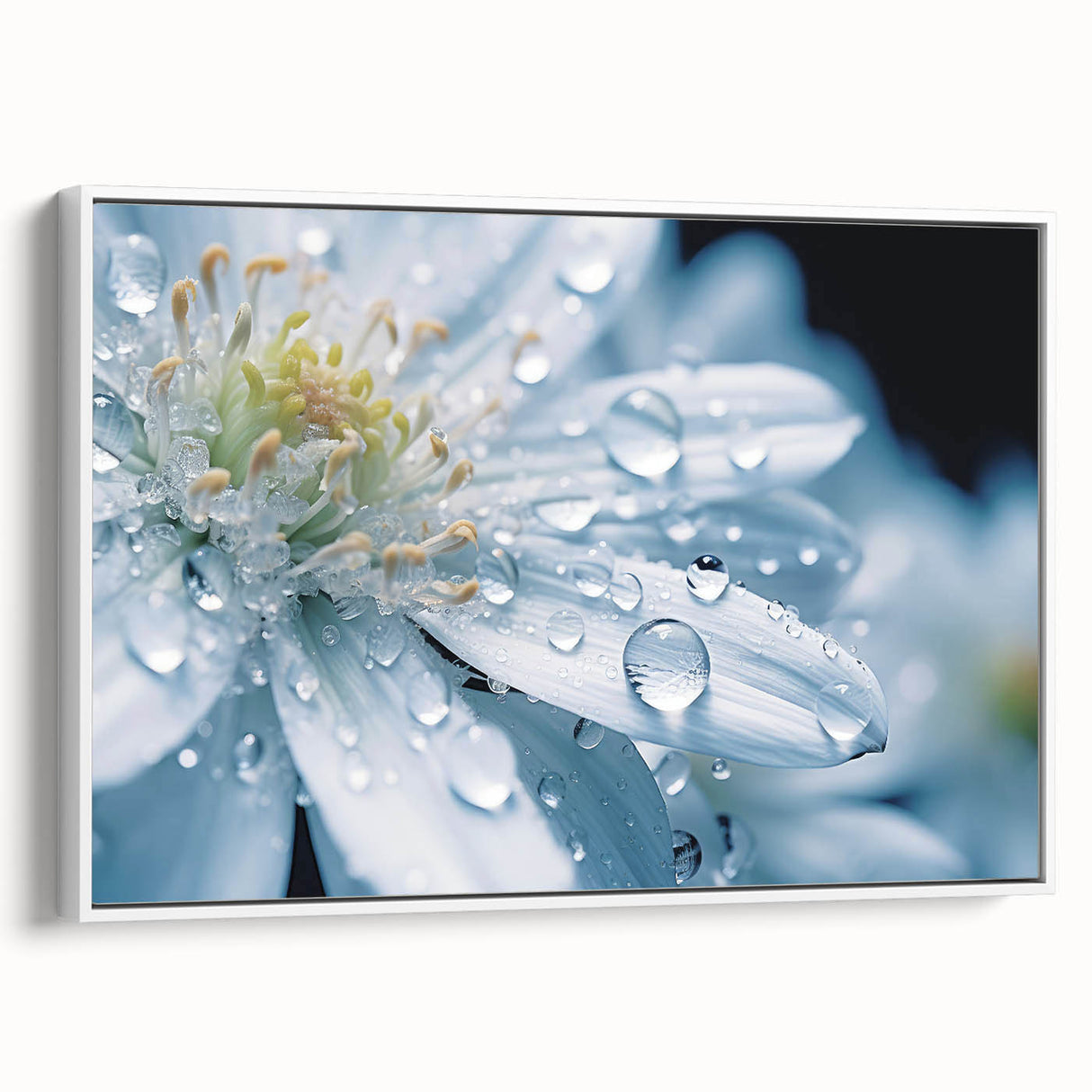 Extra large vintage poster art on framed canvas featuring a close-up of water droplets on a leaf in black with vibrant color…