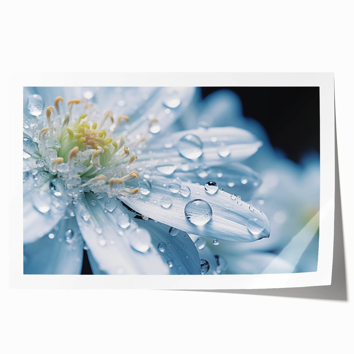 Close-up of water droplets on vibrant green leaves, extra large rolled print, ideal for dining room wall art.