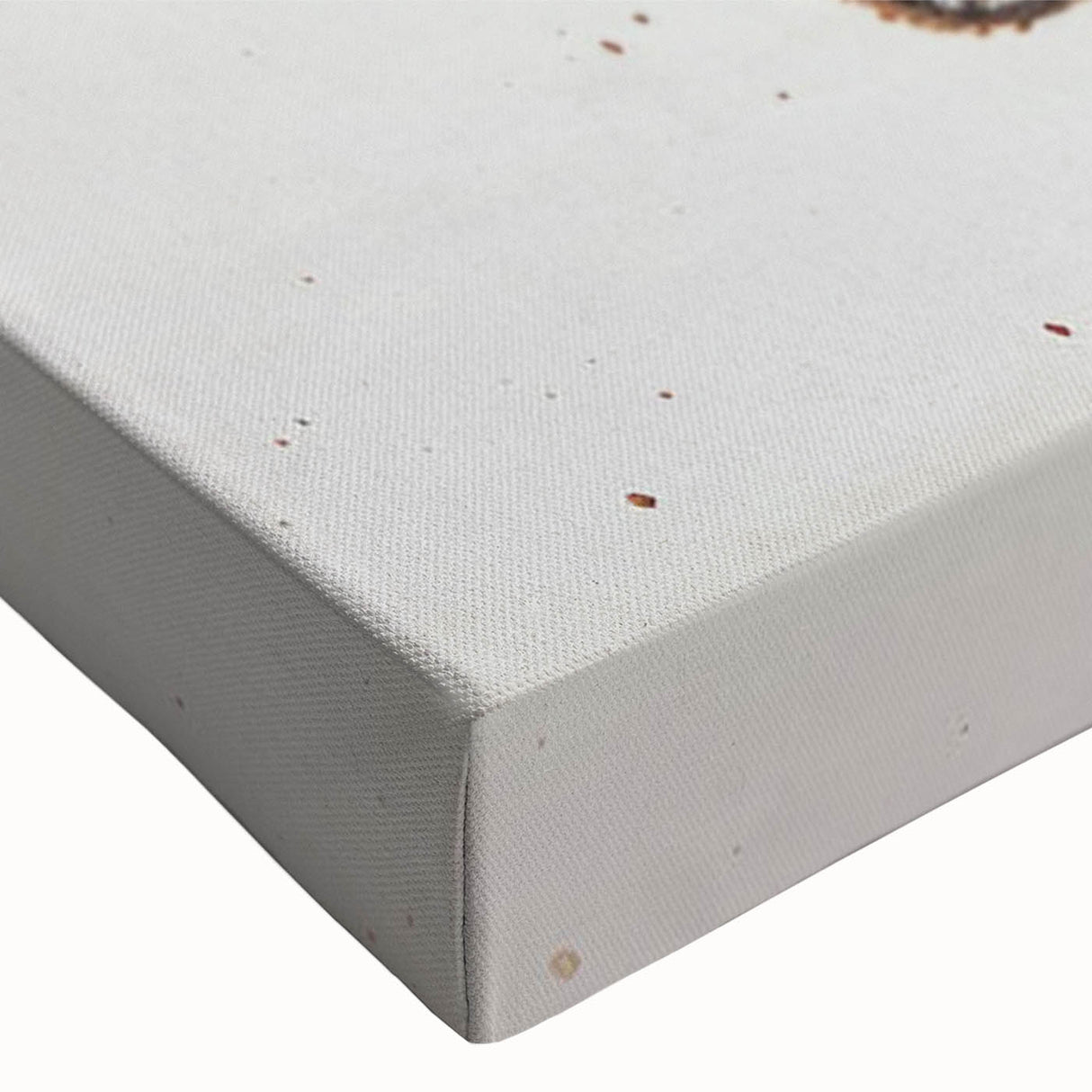 Close-up of a vibrant chameleon design on stretched canvas wall art, showcasing intricate details and bold colors, perfect for reptile enthusiasts and modern decor.