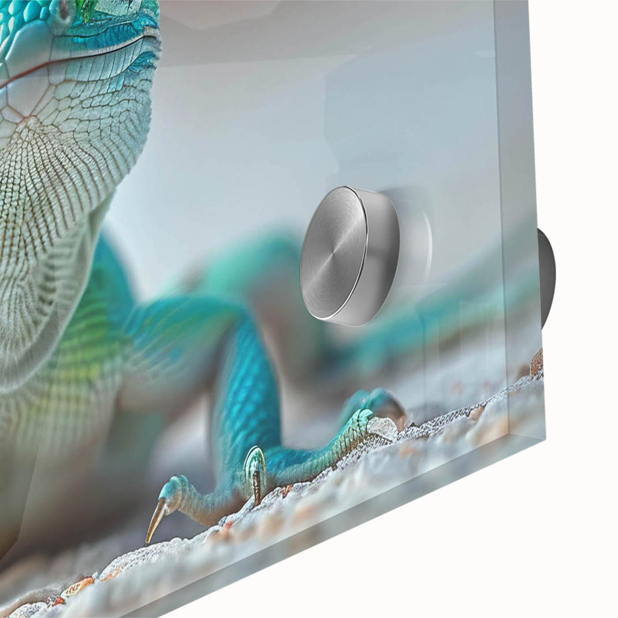 Close-up of a vibrant lizard wall art design, showcasing intricate details and colors on acrylic glass, ideal for reptile enthusiasts and home decor.