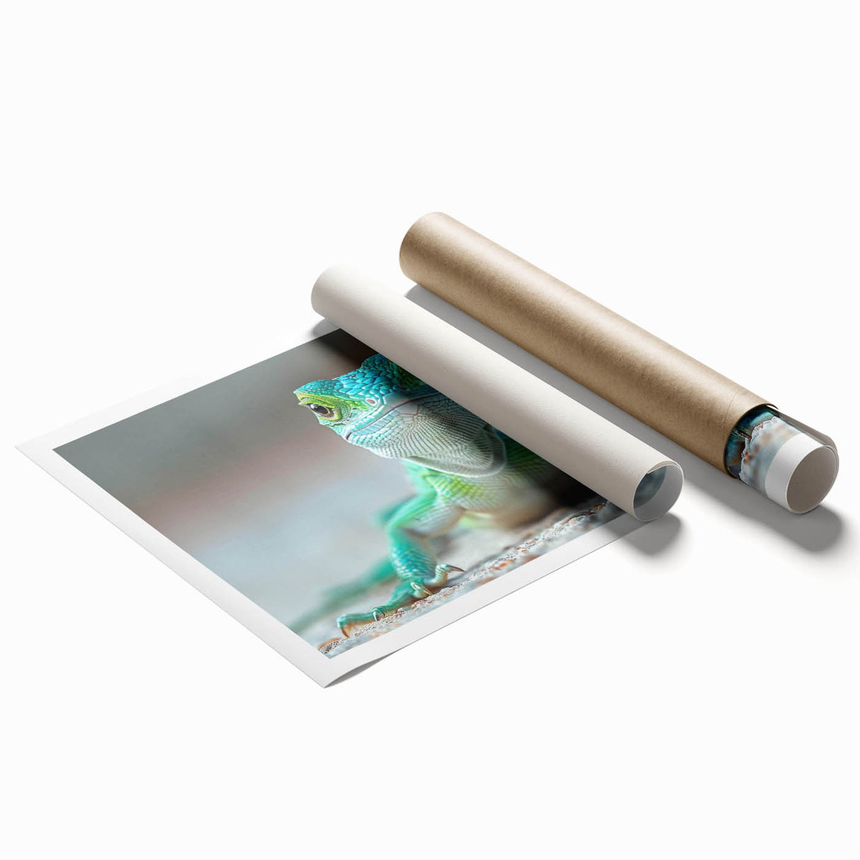 Colorful reptile-themed wall art print showcasing a vibrant lizard design, perfect for adding a bold touch to home decor or a reptile enthusiast's collection.