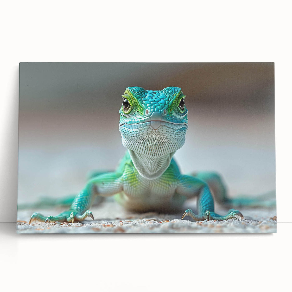 Colorful stretched canvas wall art featuring a detailed reptile and lizard design, perfect for adding a vibrant, nature-inspired touch to any room decor.