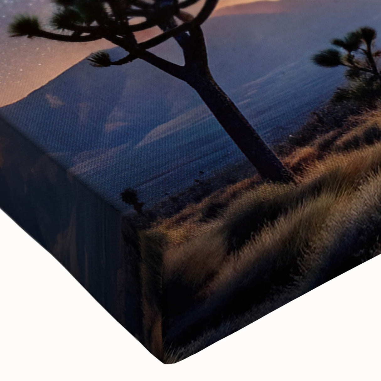 Desert Night Sky and Sun – Cosmic Sun Wall Art with Milky Way View