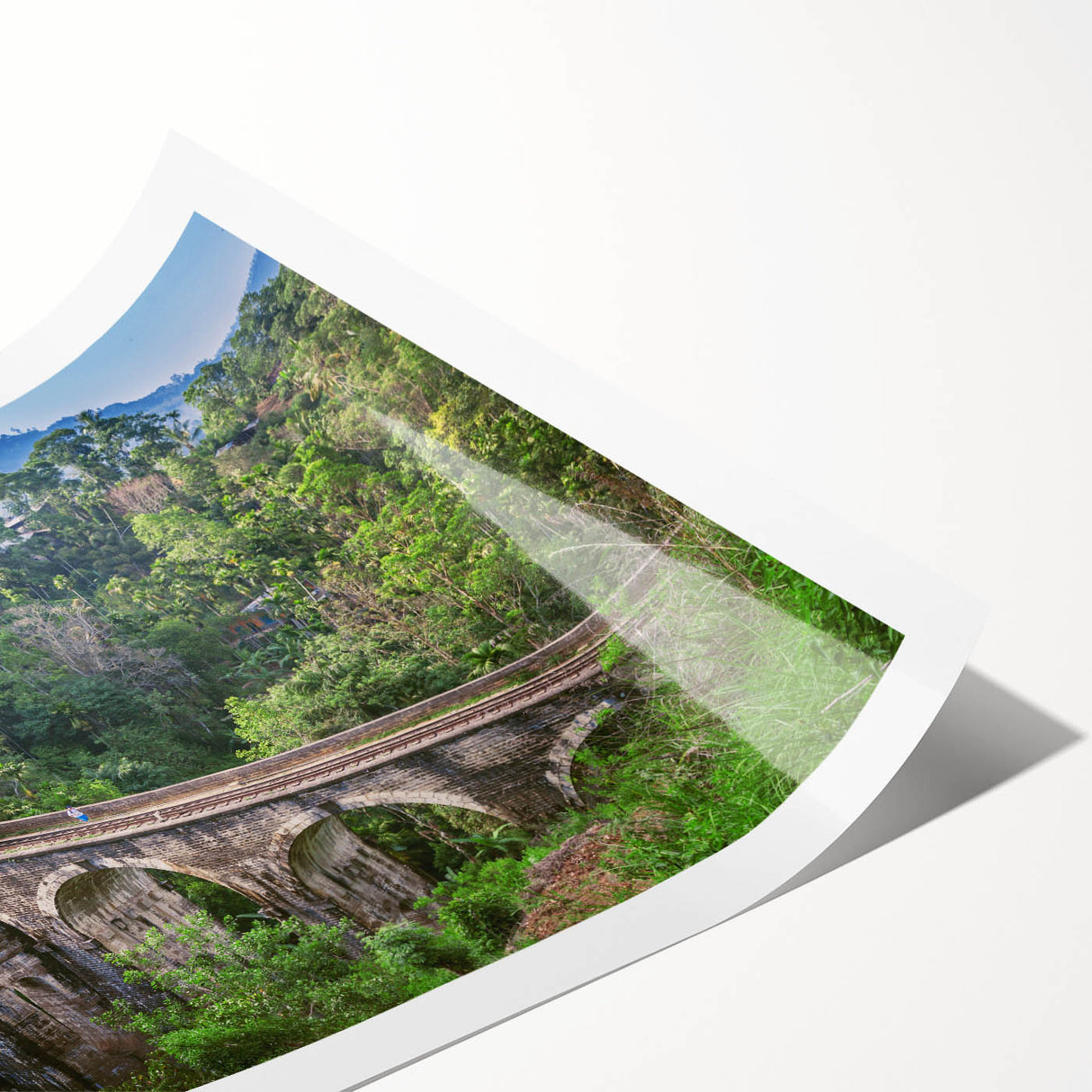 Extra large wall art featuring a line art design of flowers in black and white, printed on rolled canvas.