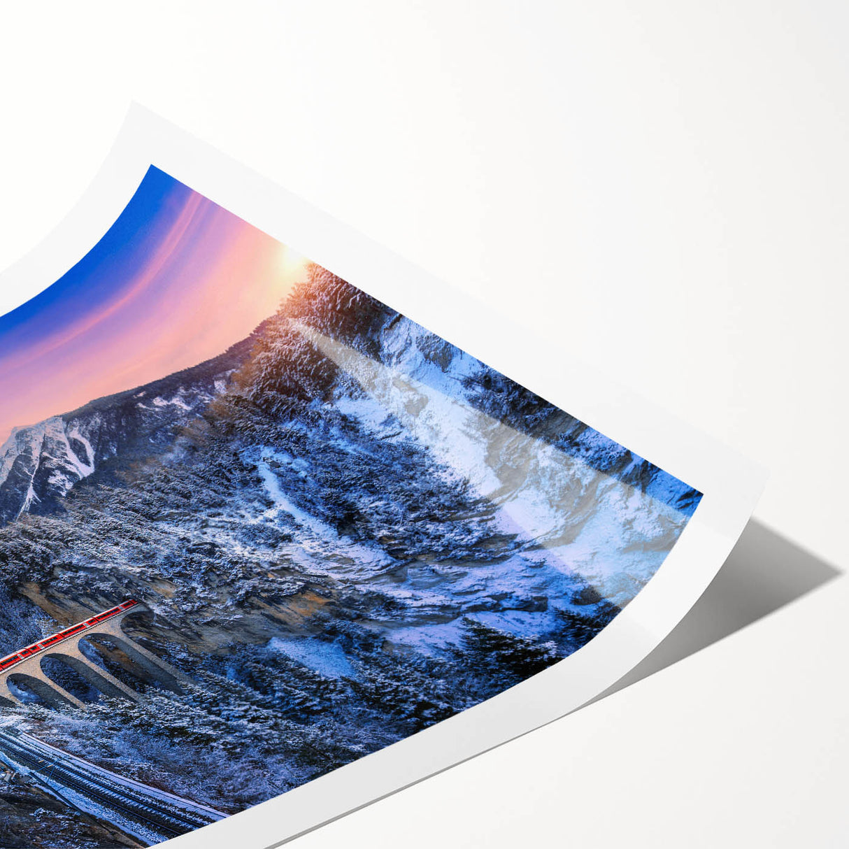 Extra large wall art featuring a line art design of flowers in black and white, printed on rolled canvas.