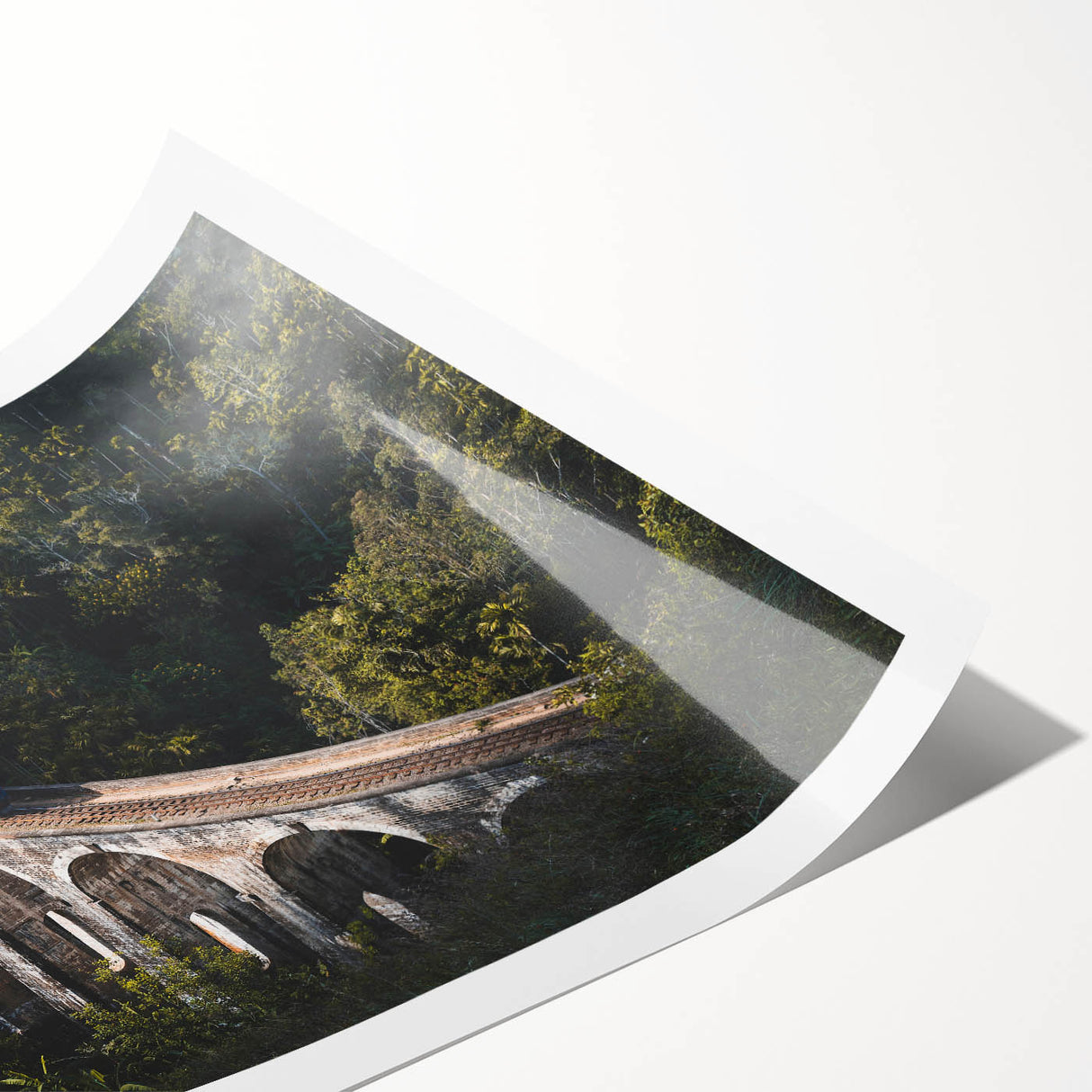 Extra large wall art featuring a line art design of flowers in soft pastel colors, printed on a rolled canvas.