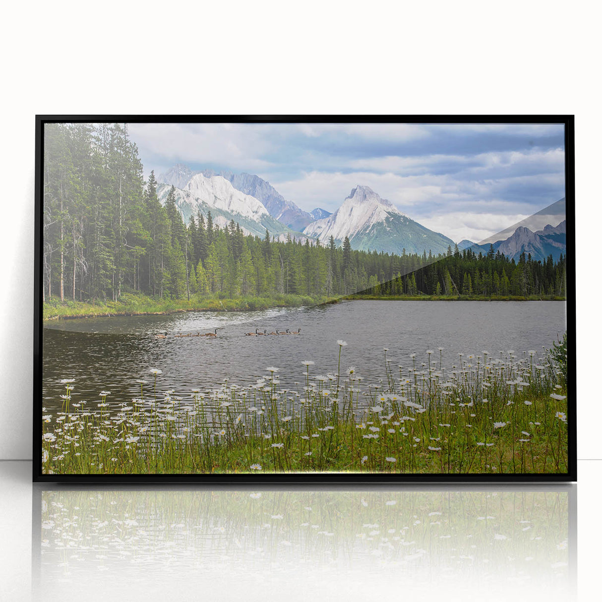 Framed black acrylic wall art featuring a vibrant wildflower design, ideal for modern home decor, showcasing intricate details and a striking visual appeal.