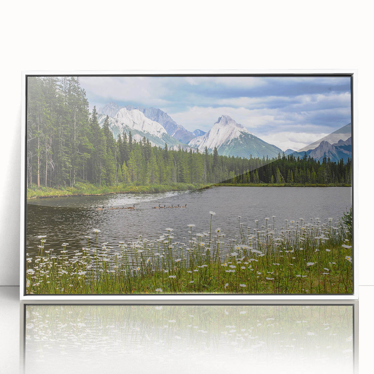 Framed acrylic wall art showcasing a vibrant wildflower design in a contemporary style, featuring a white border for an elegant finish, ideal for home decor.