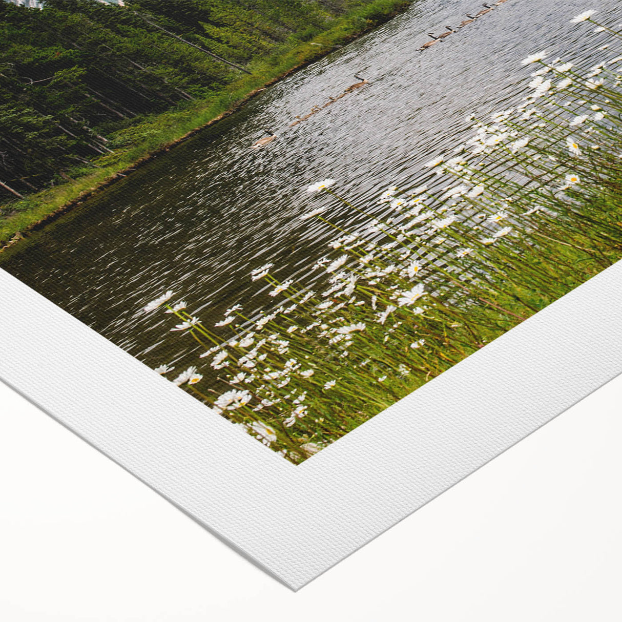 Vibrant rolled canvas showcasing a colorful wildflower design, ideal for home decor. Packaged securely in a cardboard tube to ensure safe delivery.