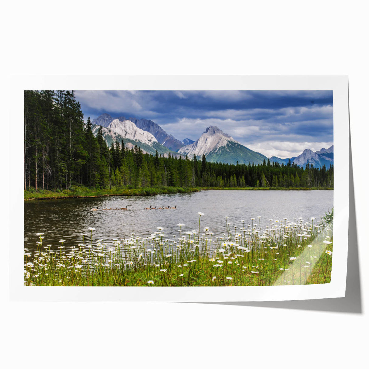 Vibrant rolled print of wildflowers wall art, showcasing delicate floral designs in bright colors, perfect for adding a touch of nature to home decor.