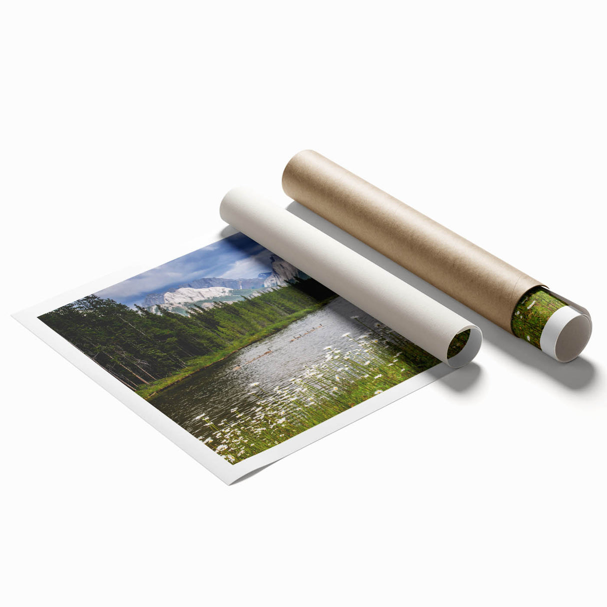 Vibrant rolled print of wildflower wall art collection showcasing colorful floral designs, ideal for home decor, elegantly packaged in protective cardboard tube.