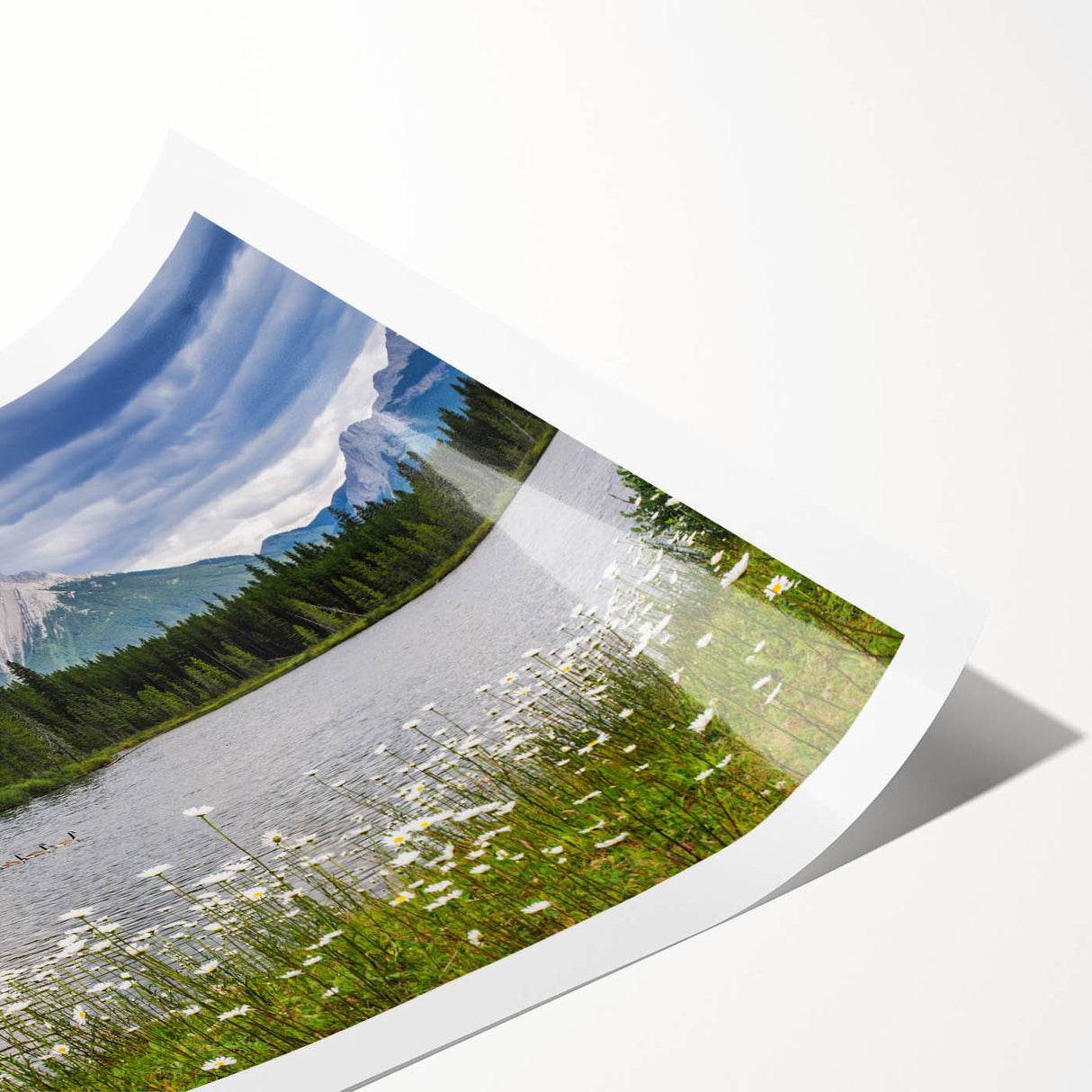 Vibrant rolled print of a wildflower design featuring a colorful array of blossoms against a soft background, ideal for home decor or art collection.