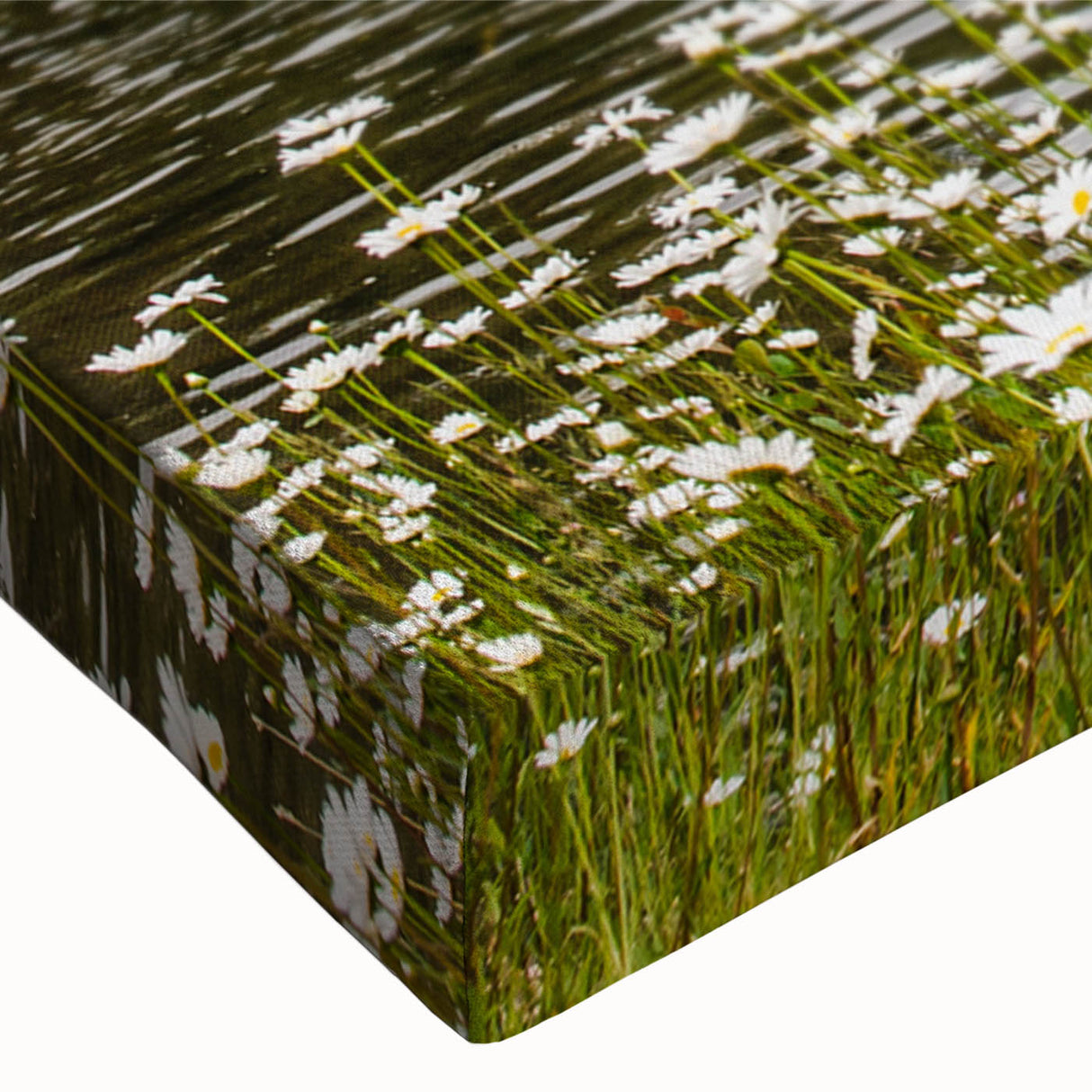 Close-up of a vibrant wildflower wall art canvas print, showcasing intricate floral designs in bright colors, perfect for home decor. The stretched canvas captures the beauty of nature, adding a refreshing touch to any room.