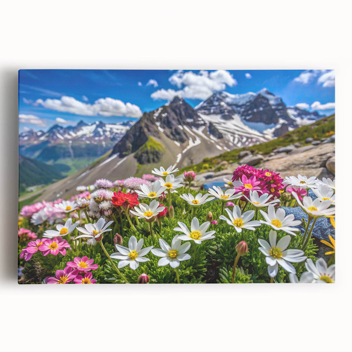 Vibrant wildflower design on stretched canvas wall art, showcasing colorful blooms against a white background, perfect for brightening any room decor.
