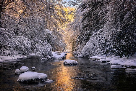 Snowy winter Kentucky landscape with natural stream and fluvial landforms, wall art