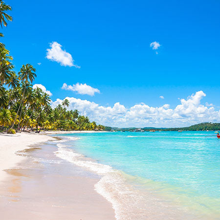 Tropical beach in Rio de Janeiro, Brazil with turquoise water, white sand, and palm trees – vibrant coastal wall art for bright home or office décor.