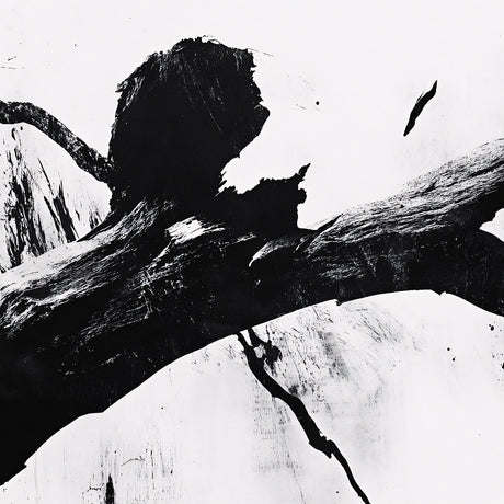 Black and white abstract wall art with bold brushstroke textures and high contrast