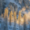 Landscape Wall Art