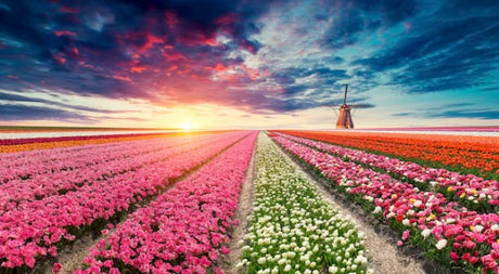 windmills-wall-art-collection