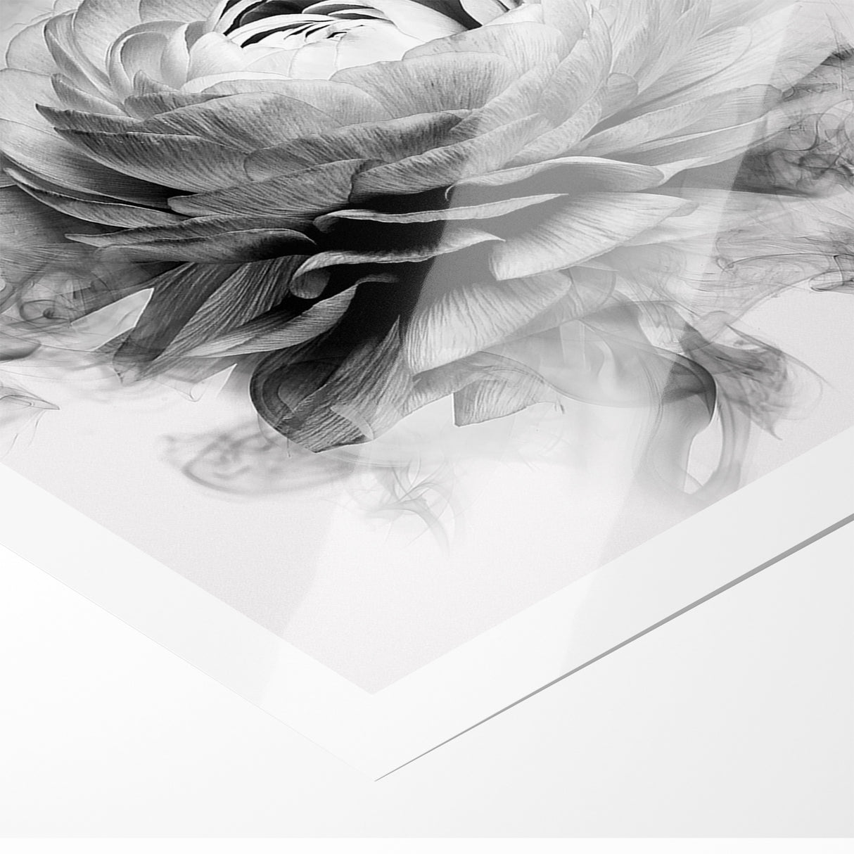 Monochrome Floral Art - Black and White Abstract Flower Canvas