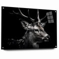 Majestic Antelope Wildlife Art - Stunning Black & White Antelope Canvas