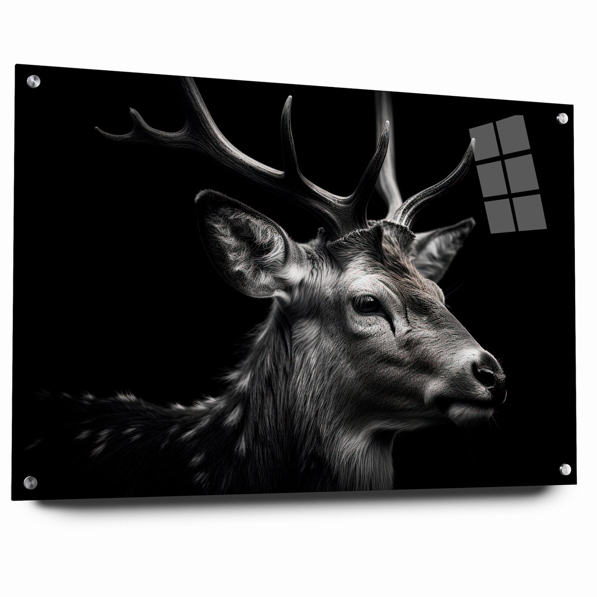 Majestic Antelope Wildlife Art - Stunning Black & White Antelope Canvas