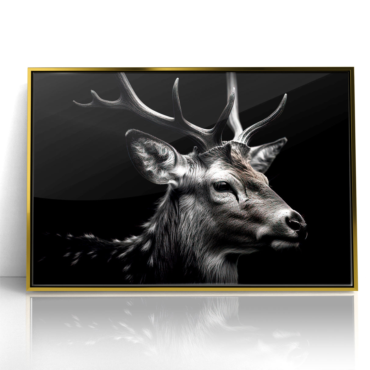 Majestic Antelope Wildlife Art - Stunning Black & White Antelope Canvas