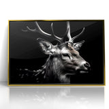 Majestic Antelope Wildlife Art - Stunning Black & White Antelope Canvas