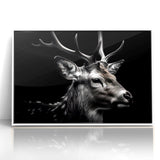 Majestic Antelope Wildlife Art - Stunning Black & White Antelope Canvas