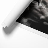 Majestic Antelope Wildlife Art - Stunning Black & White Antelope Canvas