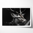 Majestic Antelope Wildlife Art - Stunning Black & White Antelope Canvas