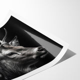 Majestic Antelope Wildlife Art - Stunning Black & White Antelope Canvas