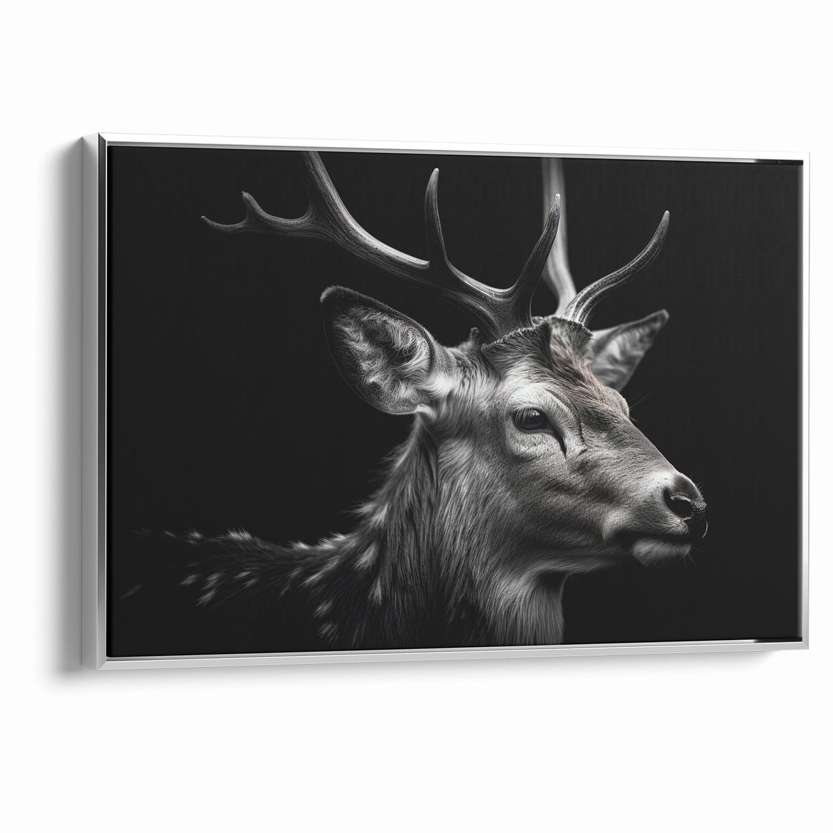 Majestic Antelope Wildlife Art - Stunning Black & White Antelope Canvas