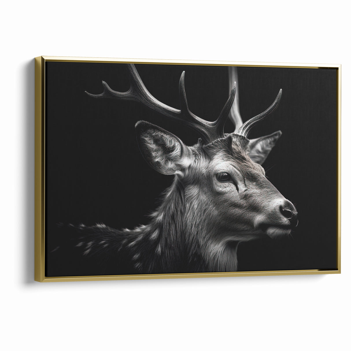 Majestic Antelope Wildlife Art - Stunning Black & White Antelope Canvas