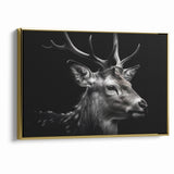Majestic Antelope Wildlife Art - Stunning Black & White Antelope Canvas