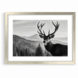 Graceful Antelope Wildlife Art - Majestic Antelope Canvas Print