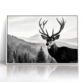 Graceful Antelope Wildlife Art - Majestic Antelope Canvas Print