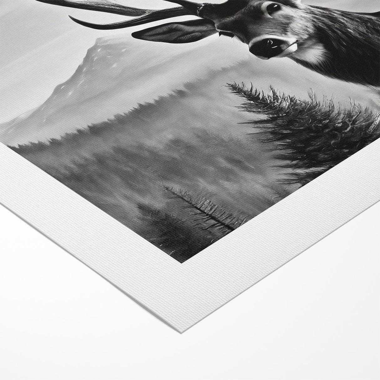 Graceful Antelope Wildlife Art - Majestic Antelope Canvas Print