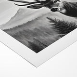 Graceful Antelope Wildlife Art - Majestic Antelope Canvas Print