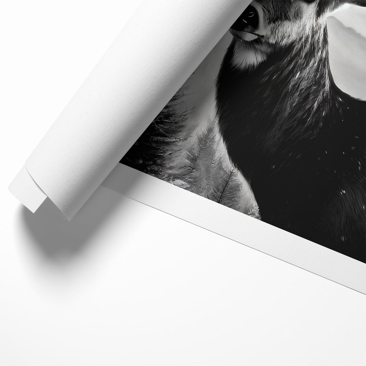Graceful Antelope Wildlife Art - Majestic Antelope Canvas Print