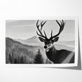 Graceful Antelope Wildlife Art - Majestic Antelope Canvas Print