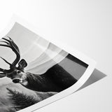 Graceful Antelope Wildlife Art - Majestic Antelope Canvas Print