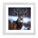 Stunning Antelope Photography - Elegant Wildlife Wall Art Print