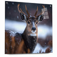Stunning Antelope Photography - Elegant Wildlife Wall Art Print
