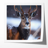 Stunning Antelope Photography - Elegant Wildlife Wall Art Print