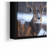 Stunning Antelope Photography - Elegant Wildlife Wall Art Print