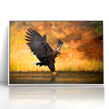 Majestic Birds of Prey Wildlife Art – Graceful Eagle Wall Decor Print