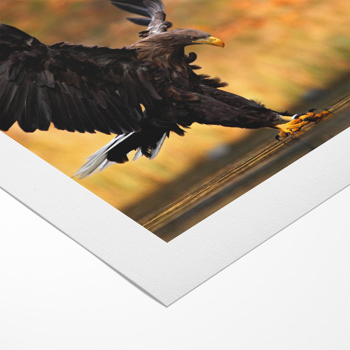 Majestic Birds of Prey Wildlife Art – Graceful Eagle Wall Decor Print