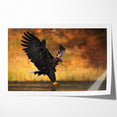 Majestic Birds of Prey Wildlife Art – Graceful Eagle Wall Decor Print